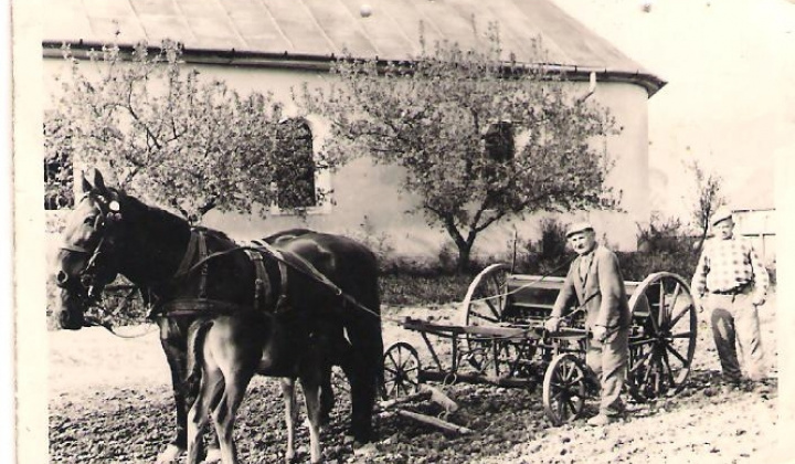 3. fotografia fotogalérie Staré fotografie