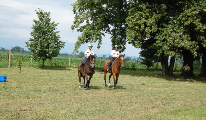 8. fotografia fotogalérie Dni obce 2010