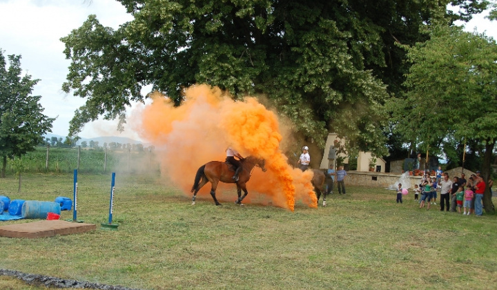 10. fotografia fotogalérie Dni obce 2010
