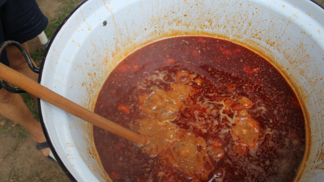 Fotografia fotogalérie Spievajúci Nižný Lánec 2019